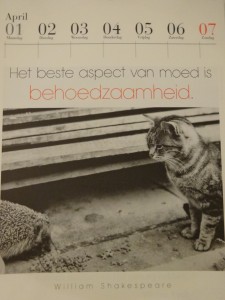 De literaire kattenkalender, Uitgeverij Cossee